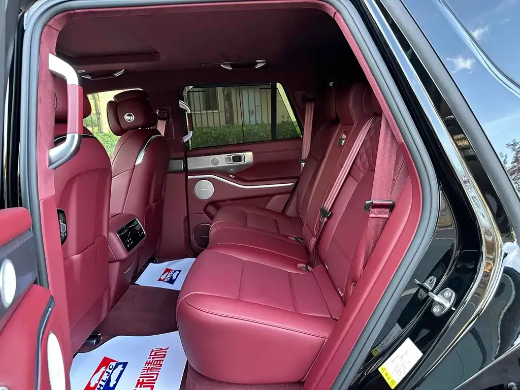 Tank 700 New Energy 2025 из CN, фото 9