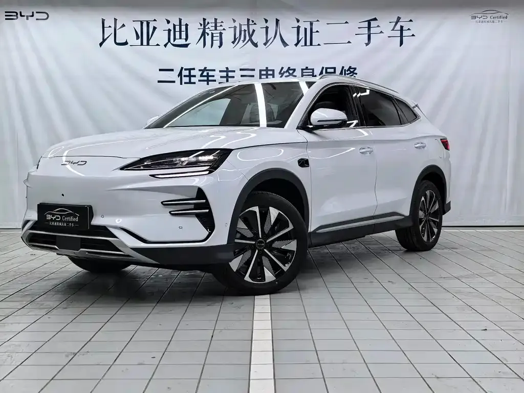BYD PLUS New Energy 2025 из CN, фото 1