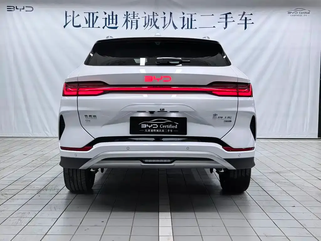 BYD PLUS New Energy 2025 из CN, фото 4