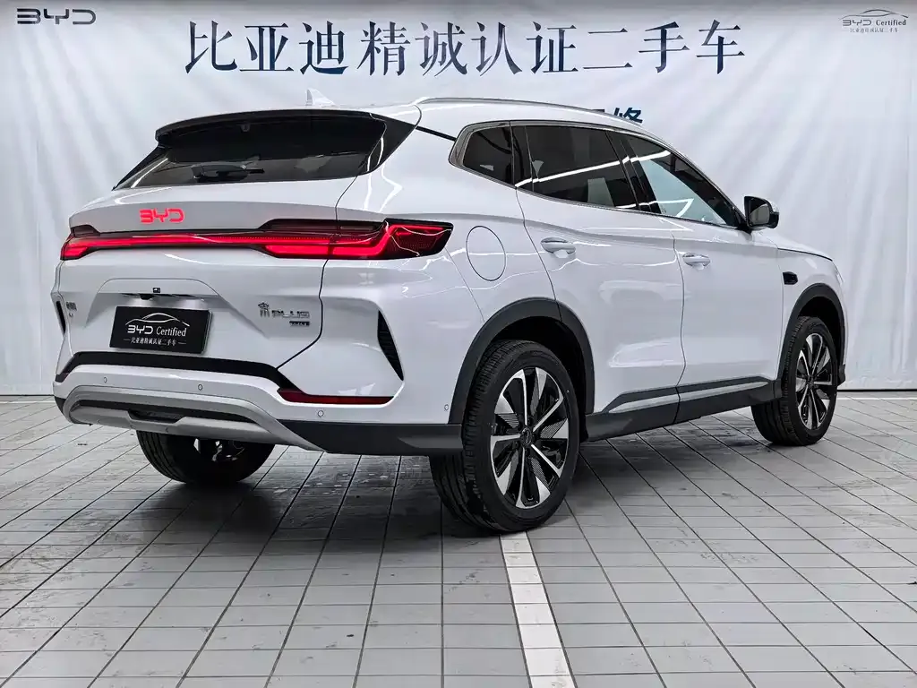 BYD PLUS New Energy 2025 из CN, фото 5