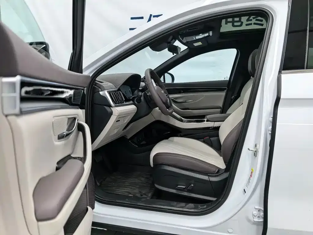 BYD PLUS New Energy 2025 из CN, фото 6