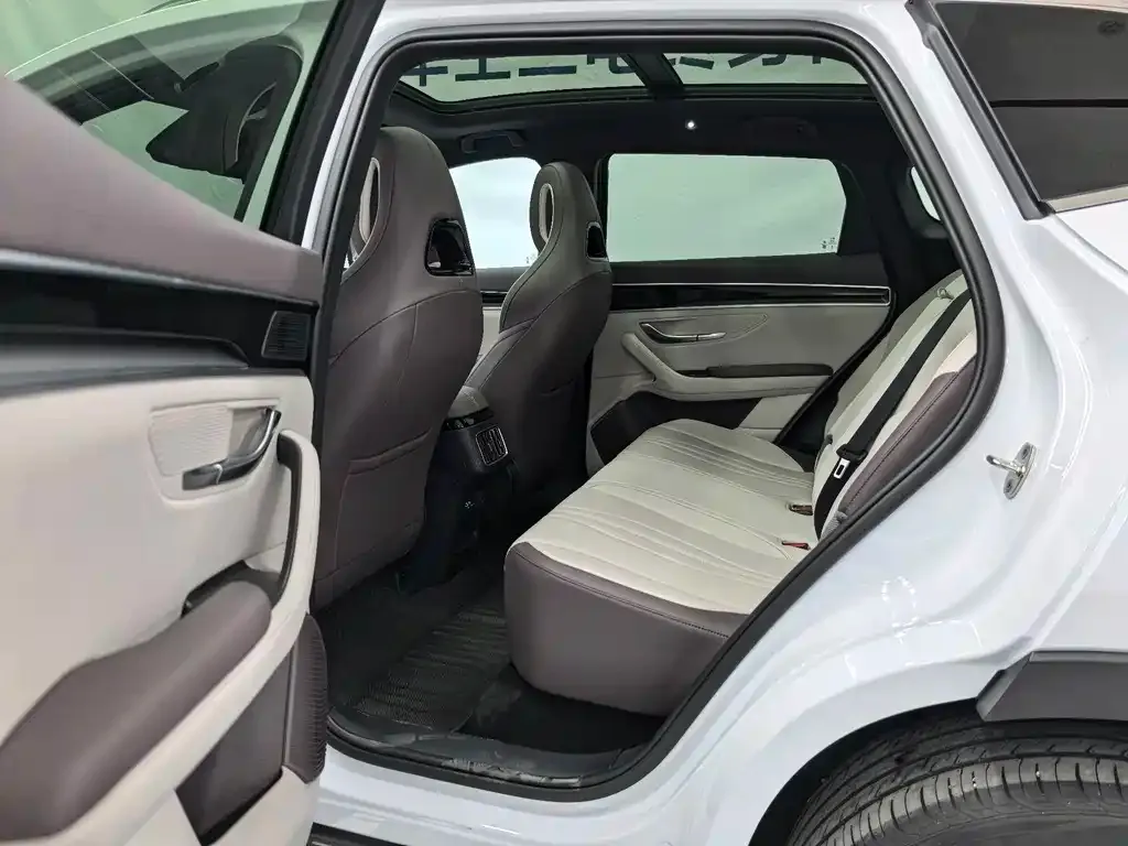 BYD PLUS New Energy 2025 из CN, фото 7