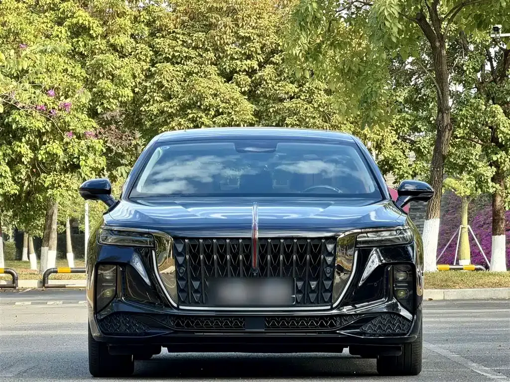 Hongqi H9 — фото 3