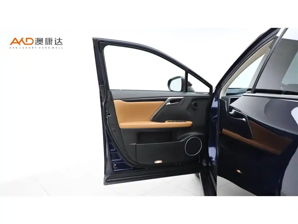 Lexus RX 2021 из CN, фото 10