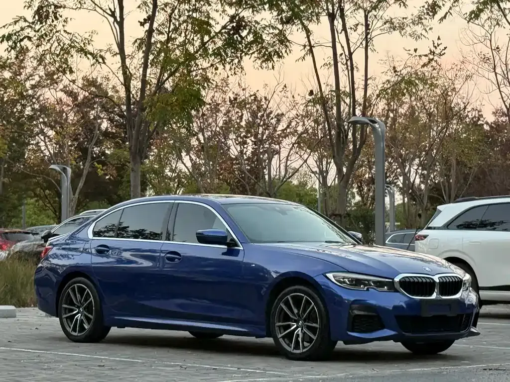 BMW 3 Series 2021 из CN, фото 3