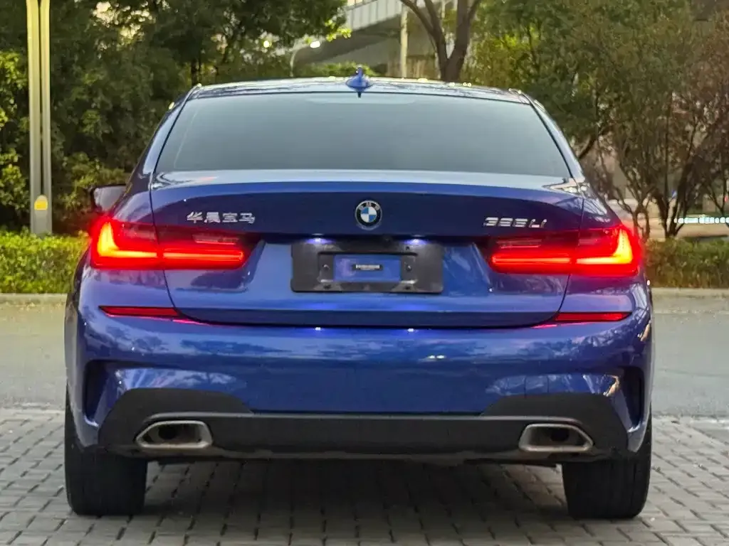 BMW 3 Series 2021 из CN, фото 6