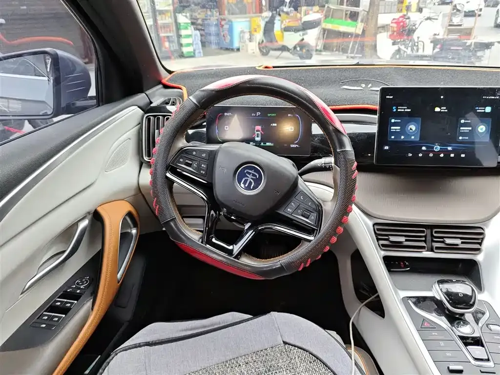 BYD Pro New Energy 2023 из CN, фото 3