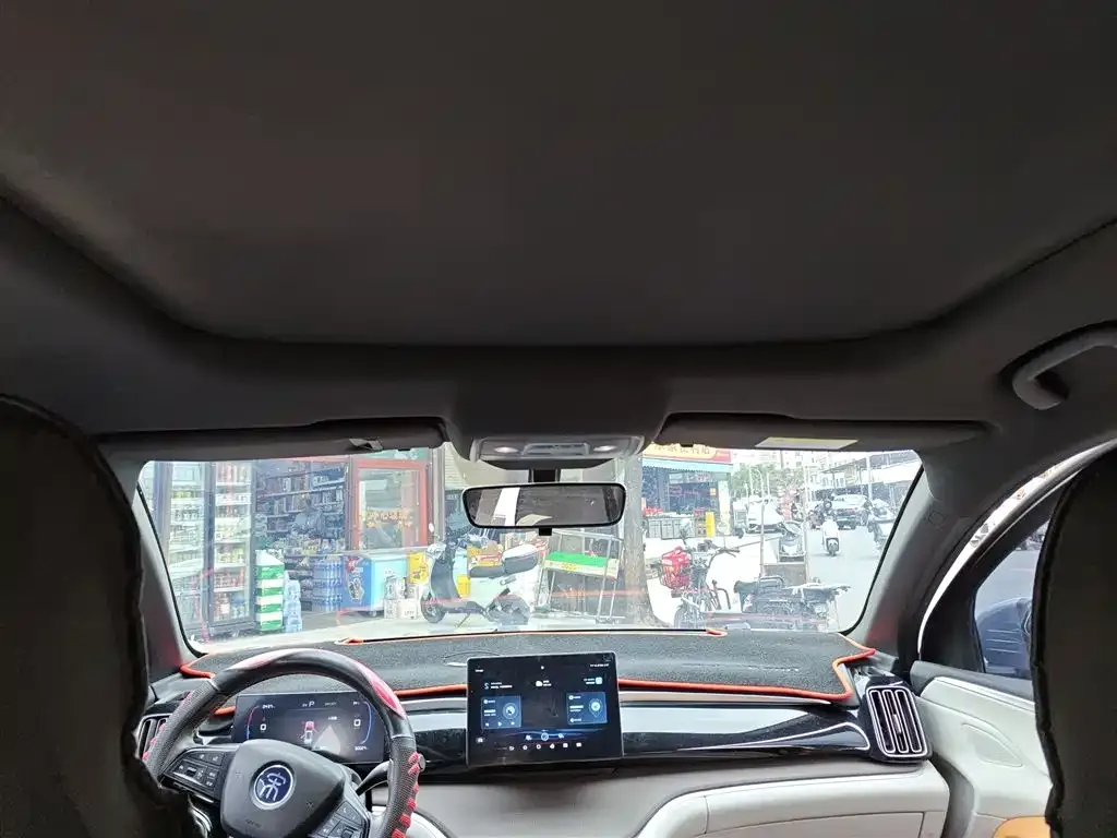 BYD Pro New Energy 2023 из CN, фото 9