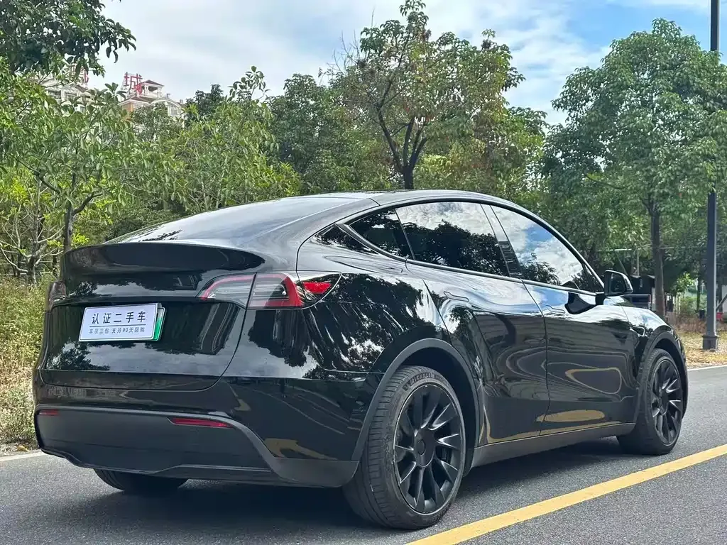 Tesla Model Y 2022 из CN, фото 9
