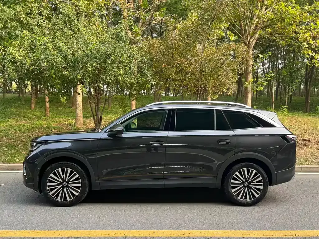 Volkswagen Tavendor 2023 из CN, фото 3