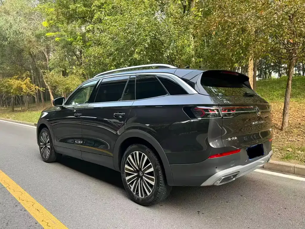 Volkswagen Tavendor 2023 из CN, фото 4