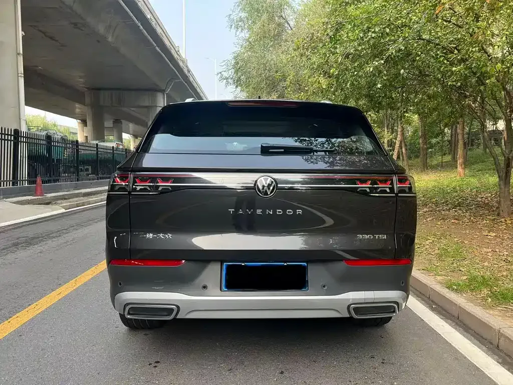 Volkswagen Tavendor 2023 из CN, фото 5