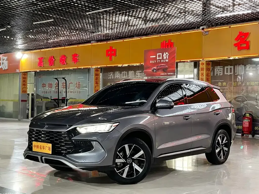 BYD Pro New Energy 2024 из CN, фото 1