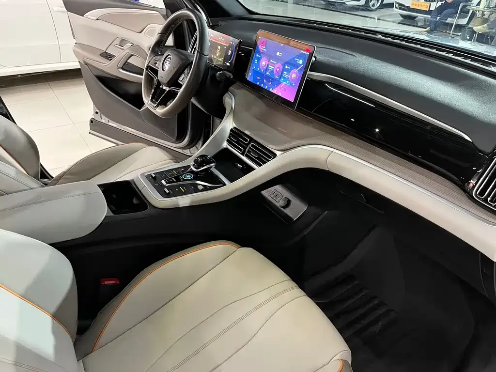 BYD Pro New Energy 2024 из CN, фото 10