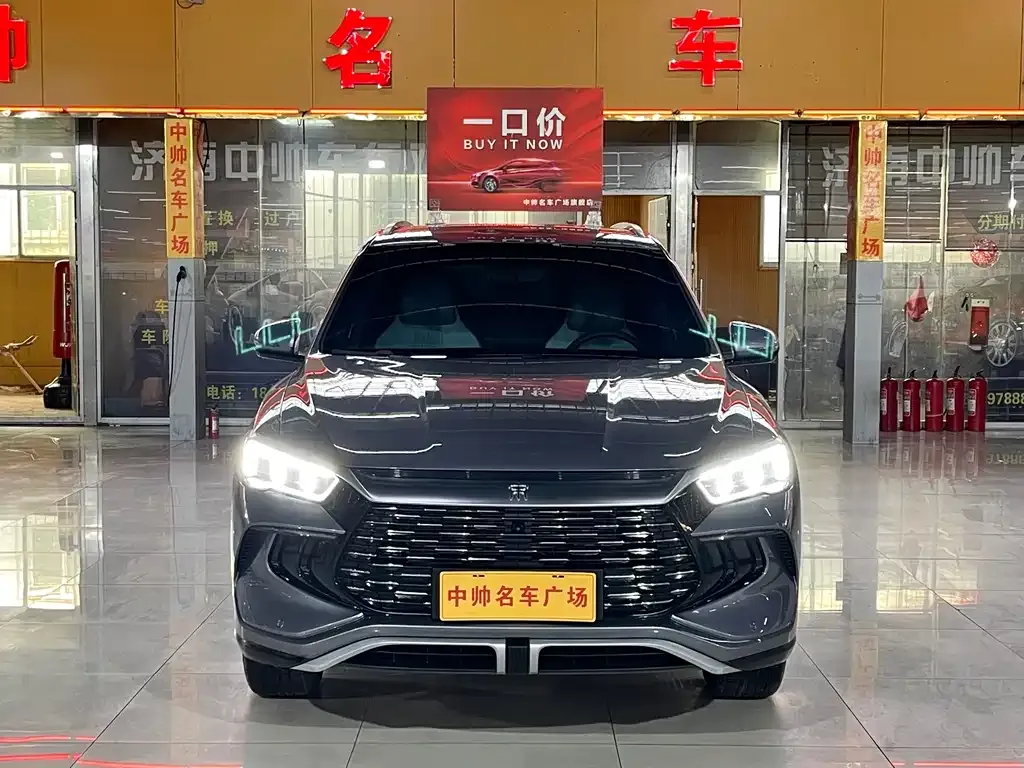 BYD Pro New Energy 2024 из CN, фото 2