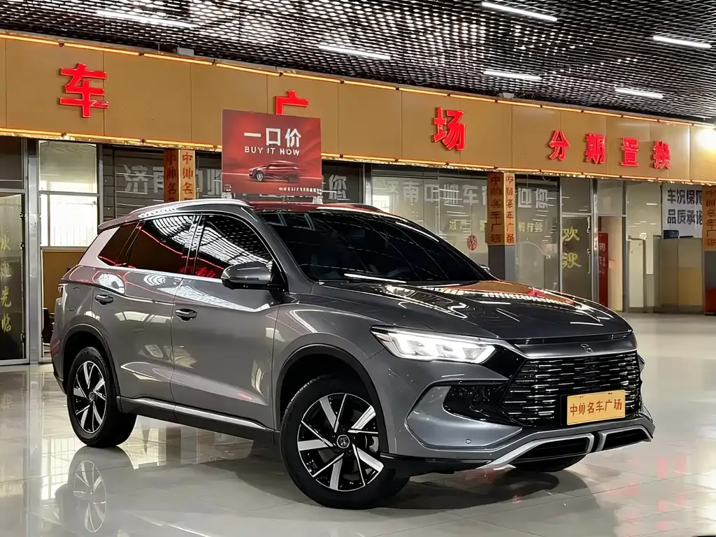 BYD Pro New Energy 2024 из CN, фото 3
