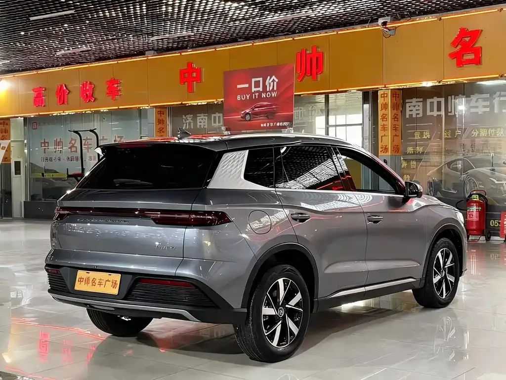 BYD Pro New Energy 2024 из CN, фото 4