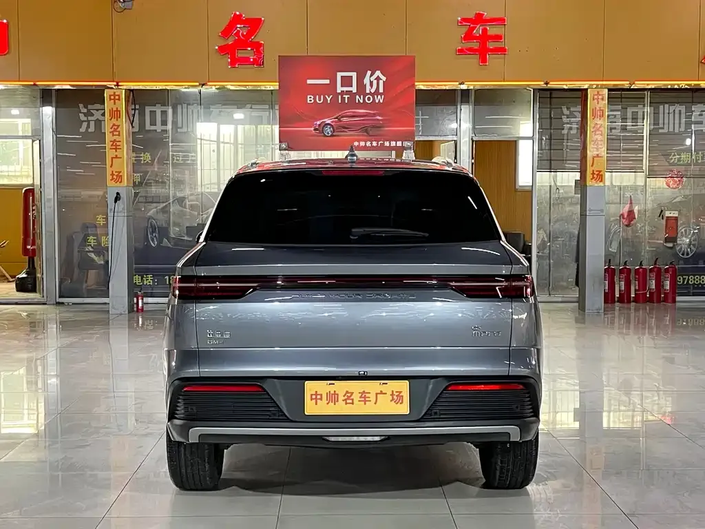 BYD Pro New Energy 2024 из CN, фото 5