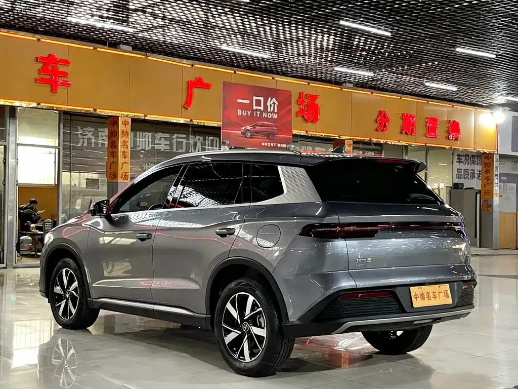 BYD Pro New Energy 2024 из CN, фото 6
