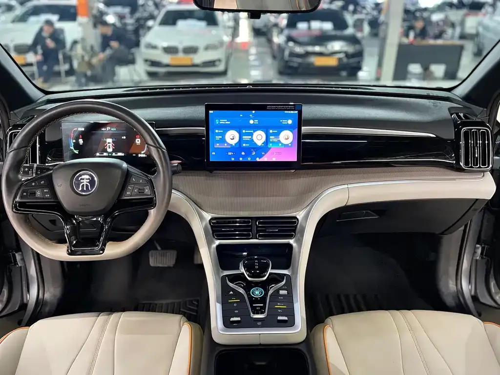 BYD Pro New Energy 2024 из CN, фото 9