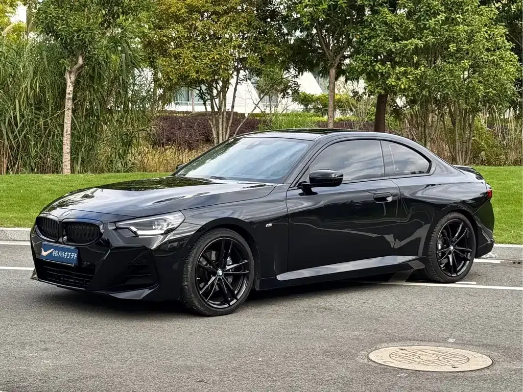 BMW 2 Series (Import) — фото 1