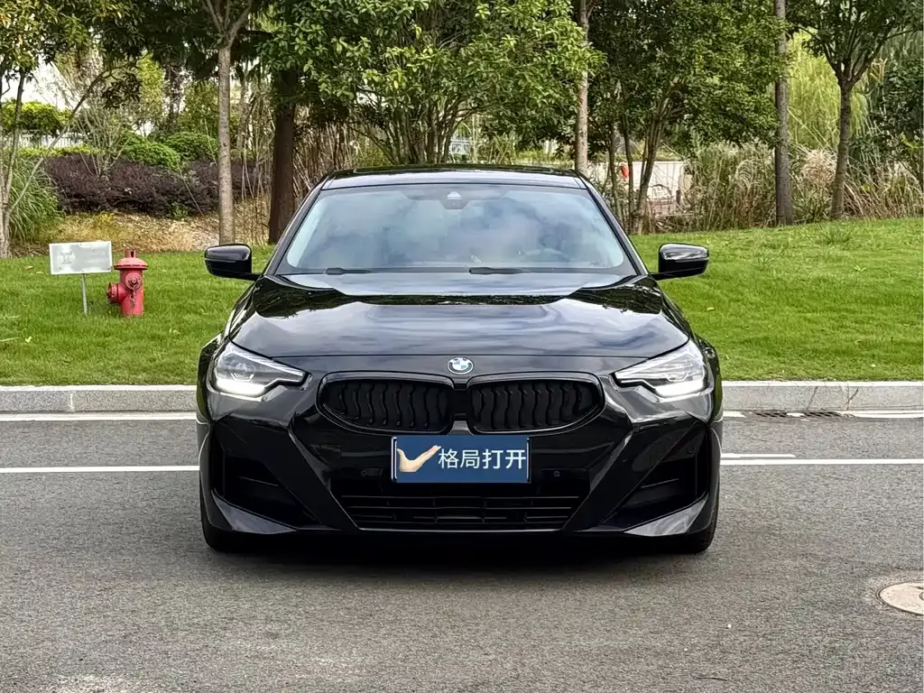 BMW 2 Series (Import) — фото 2