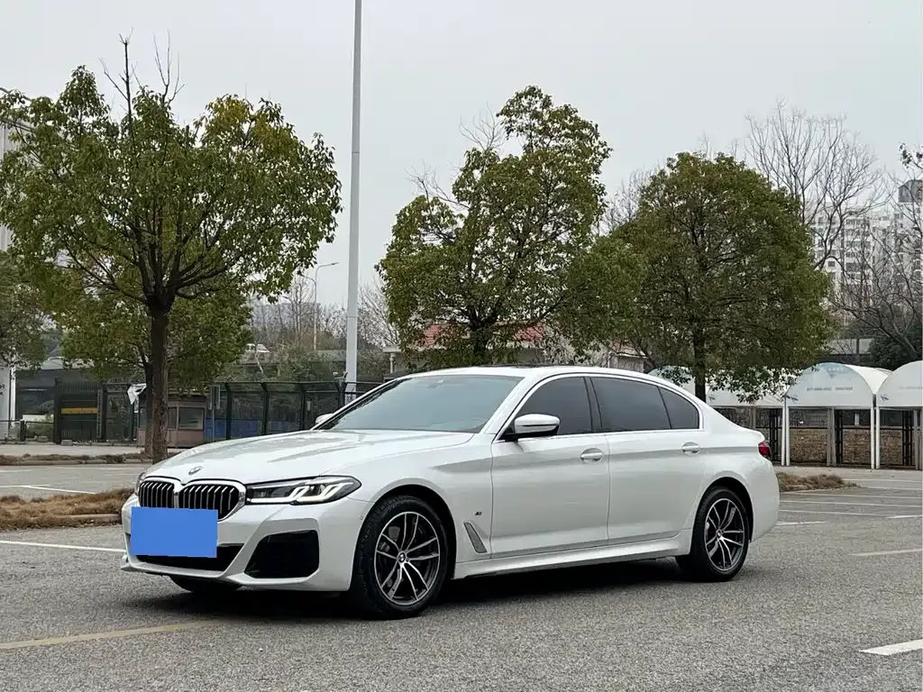 BMW 5 Series 2022 из CN, фото 1