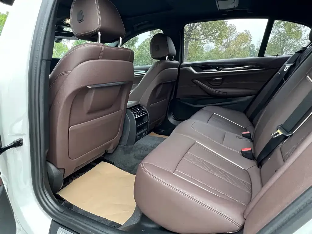 BMW 5 Series 2022 из CN, фото 10