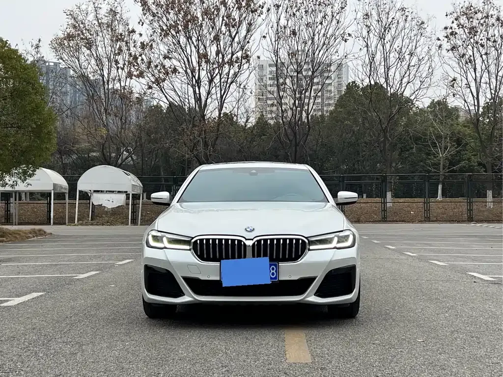 BMW 5 Series 2022 из CN, фото 2