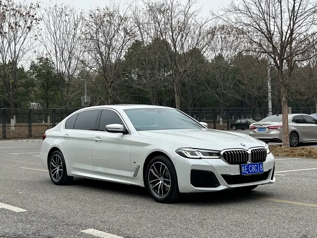 BMW 5 Series 2022 из CN, фото 3