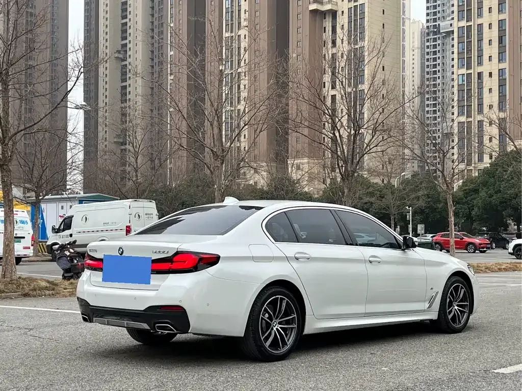 BMW 5 Series 2022 из CN, фото 5