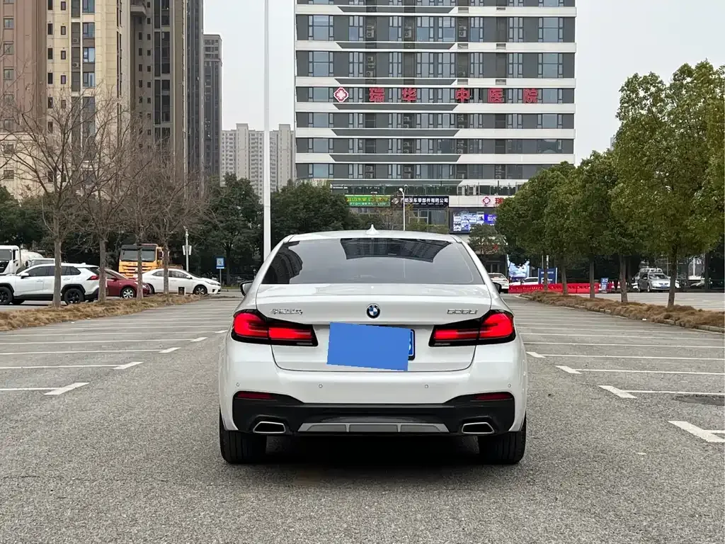 BMW 5 Series 2022 из CN, фото 6