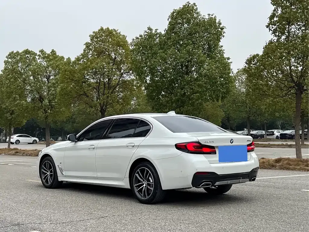 BMW 5 Series 2022 из CN, фото 7