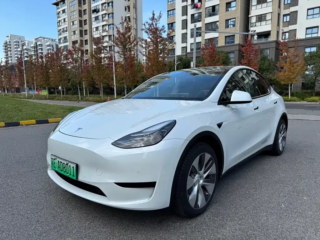 Tesla Model Y 2023 из CN, фото 1