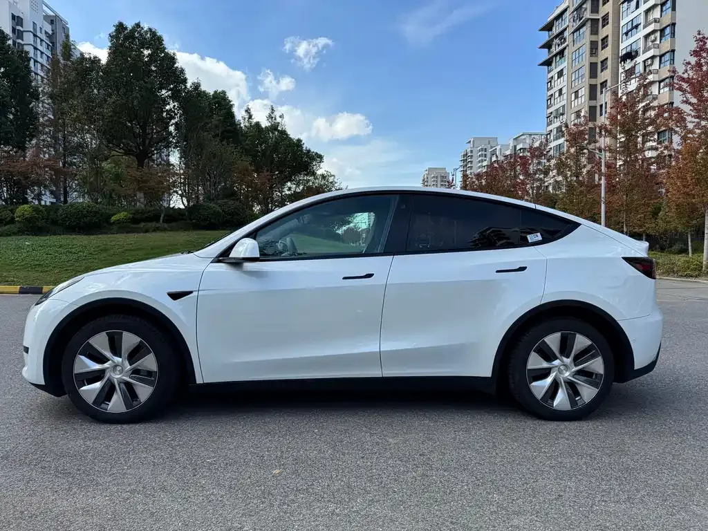 Tesla Model Y 2023 из CN, фото 2