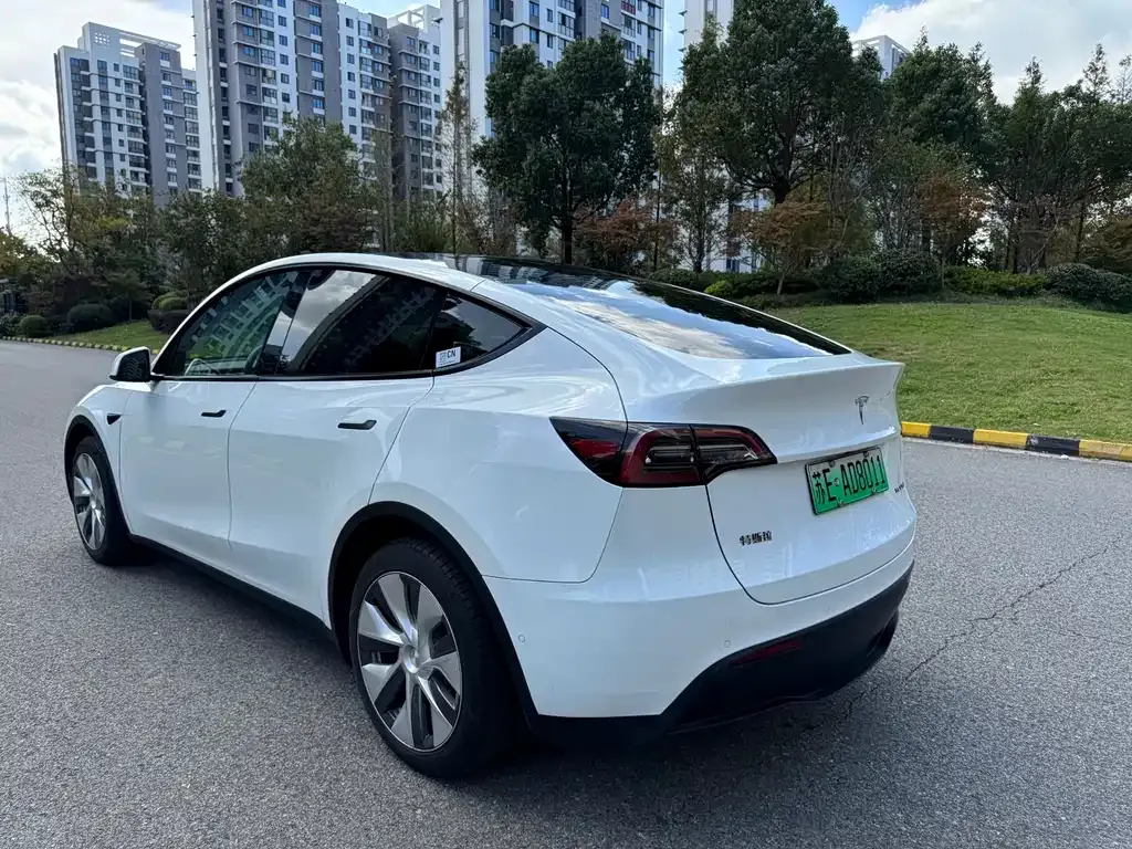 Tesla Model Y 2023 из CN, фото 3