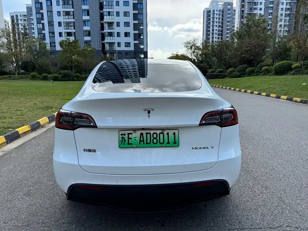 Tesla Model Y 2023 из CN, фото 4