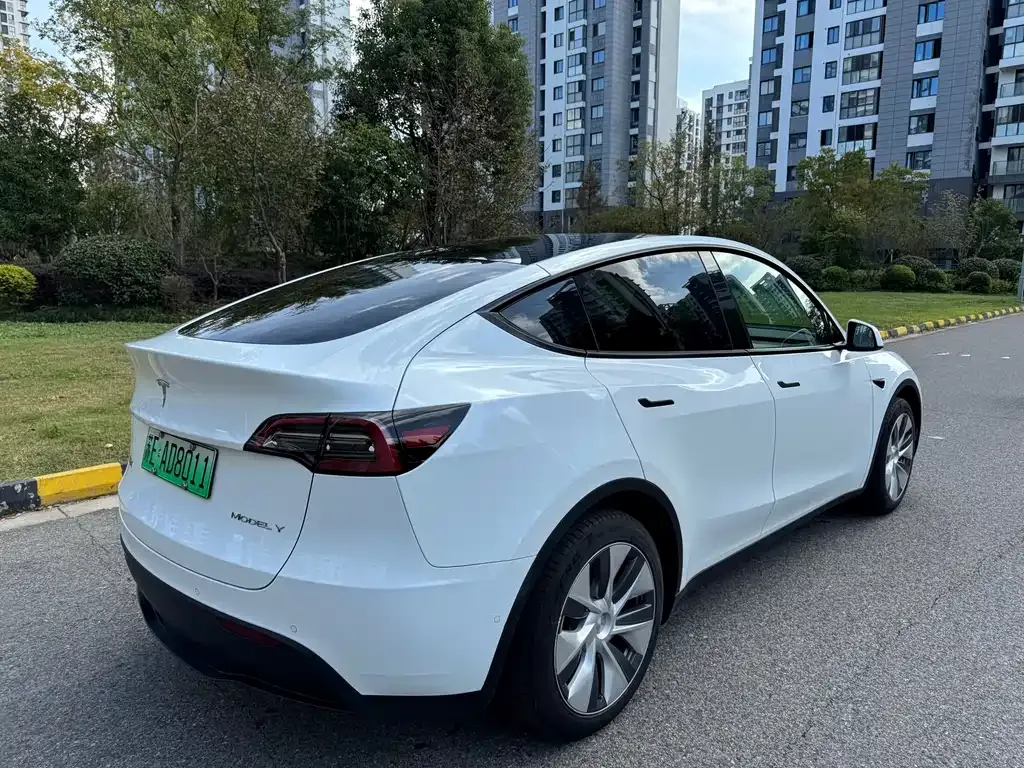 Tesla Model Y 2023 из CN, фото 5