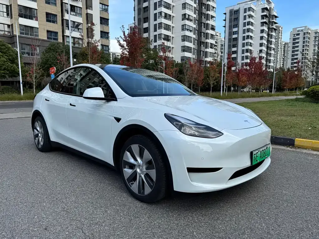 Tesla Model Y 2023 из CN, фото 6