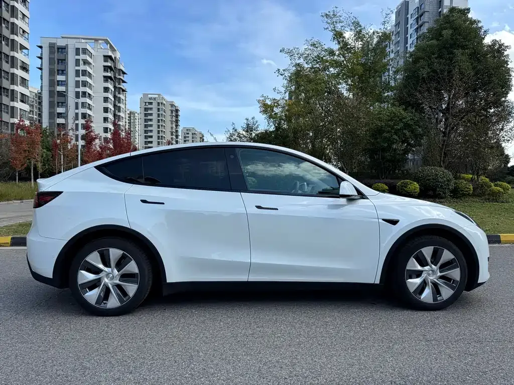Tesla Model Y 2023 из CN, фото 7