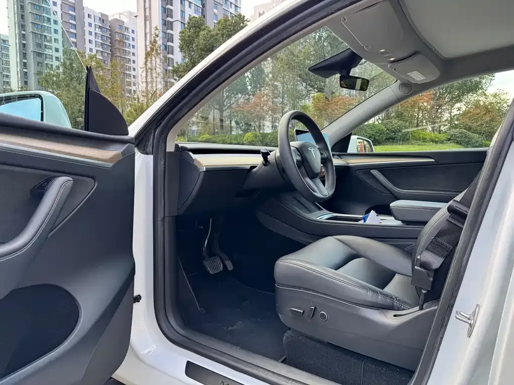 Tesla Model Y 2023 из CN, фото 8