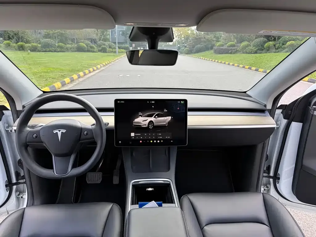 Tesla Model Y 2023 из CN, фото 9