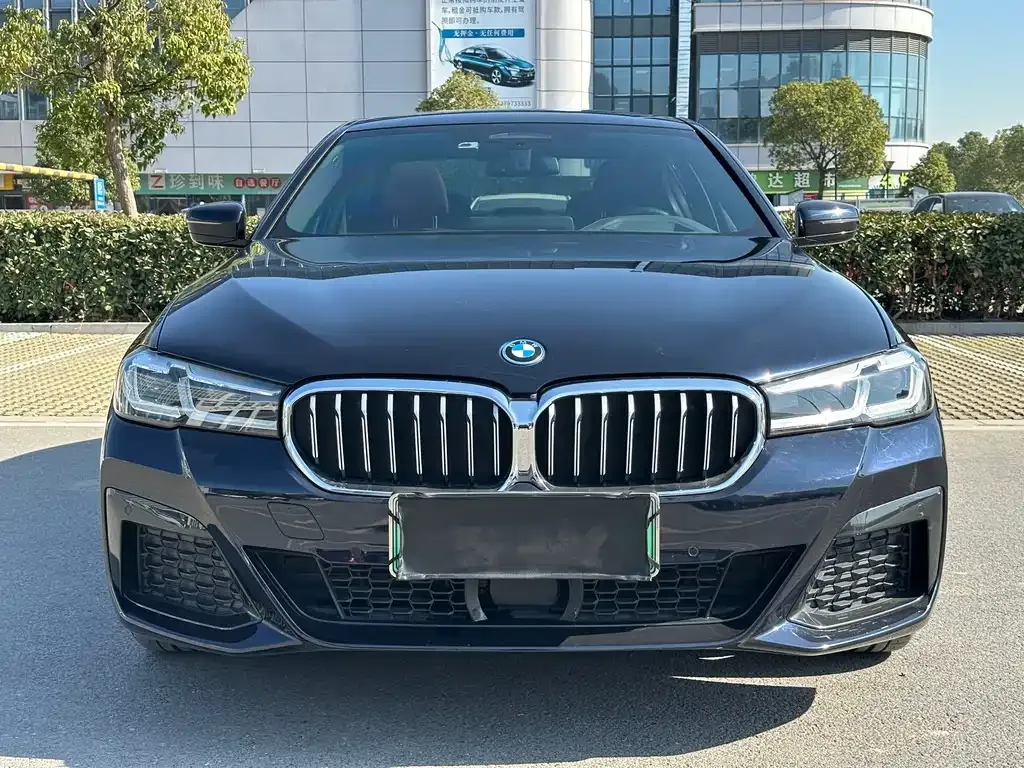 BMW 5 Series New Energy 2022 из CN, фото 2