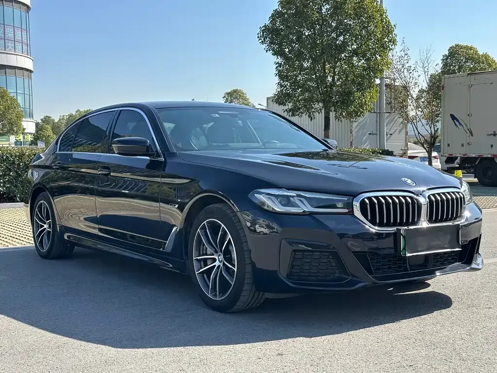 BMW 5 Series New Energy 2022 из CN, фото 3