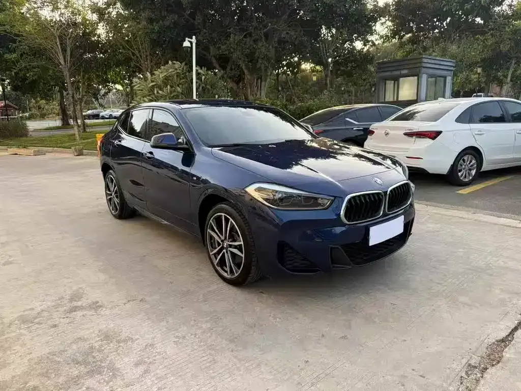BMW X2 2021 из CN, фото 2