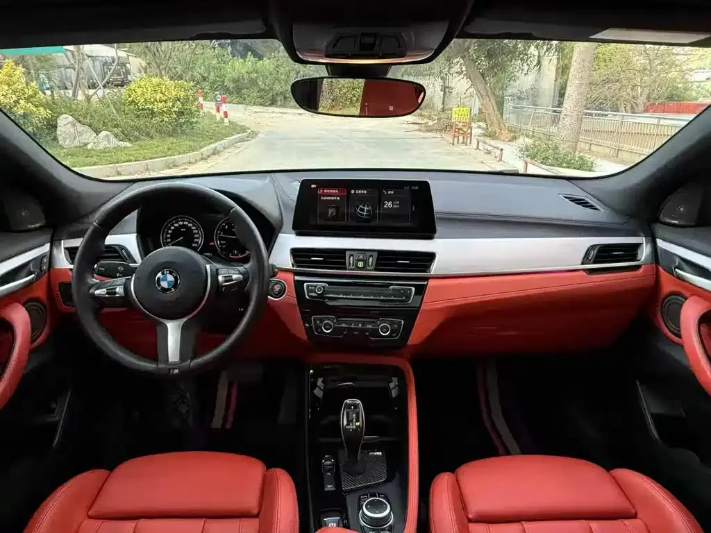 BMW X2 2021 из CN, фото 8