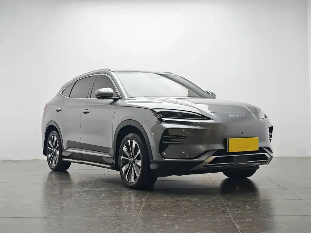 BYD PLUS New Energy 2024 из CN, фото 2
