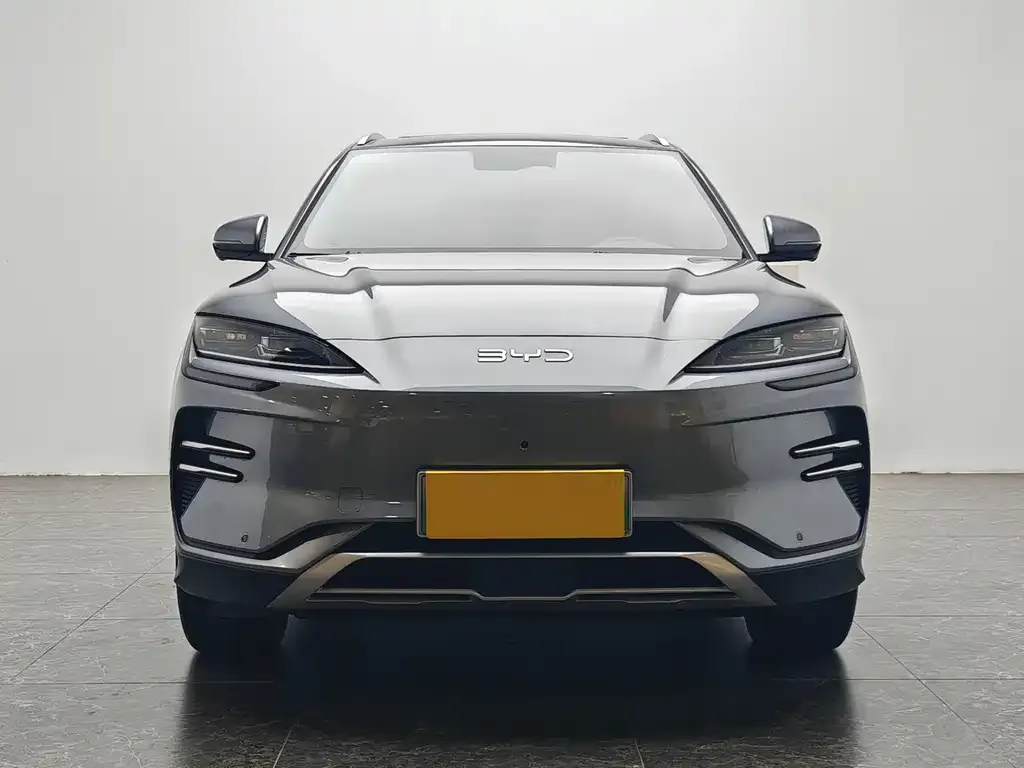 BYD PLUS New Energy 2024 из CN, фото 5