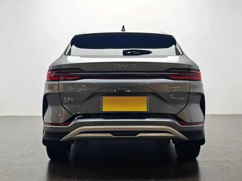 BYD PLUS New Energy 2024 из CN, фото 6