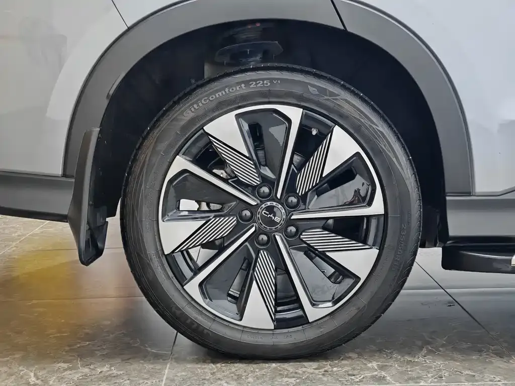 BYD PLUS New Energy 2024 из CN, фото 9